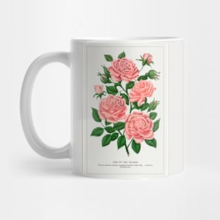 Pink rose, Gem of the Prairie lithograph (1900) Mug